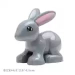 Šedý králík