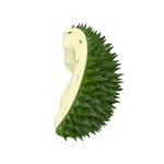 Durian Green
