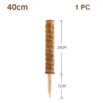 40cm