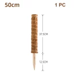 50cm