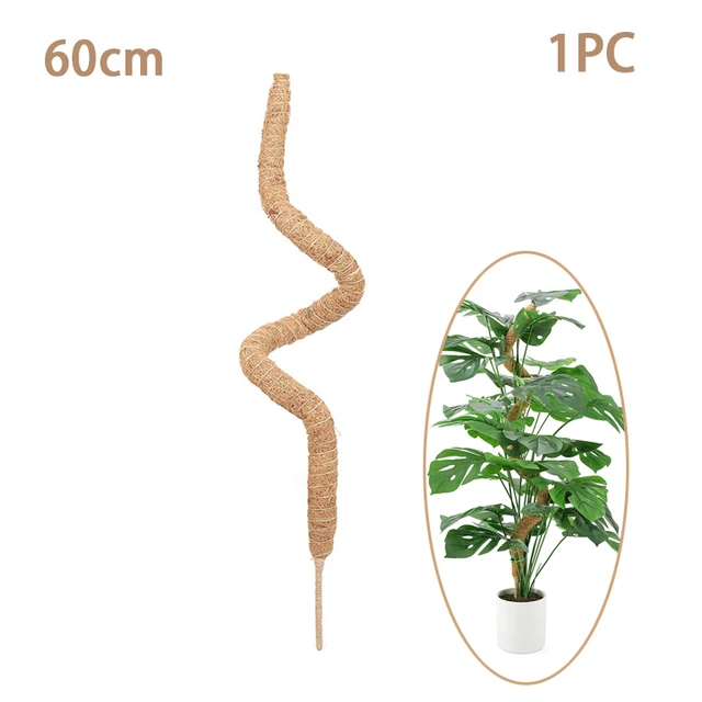Přírodní podpěry rostlin - 60 cm Ohýbatelný